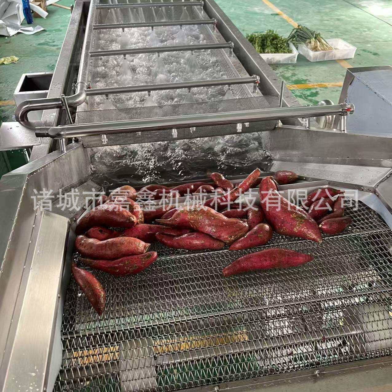 气泡水果清洗机喷淋瓜果葡萄西红柿桃子清洗设备果冻洗果机