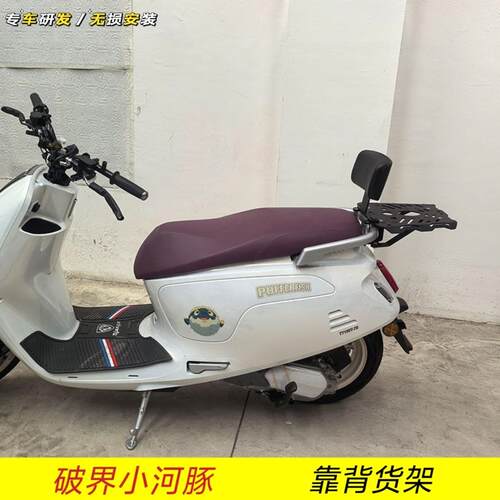适用于破界小河豚靠背货架尾箱尾架机车改装配件靠背大全