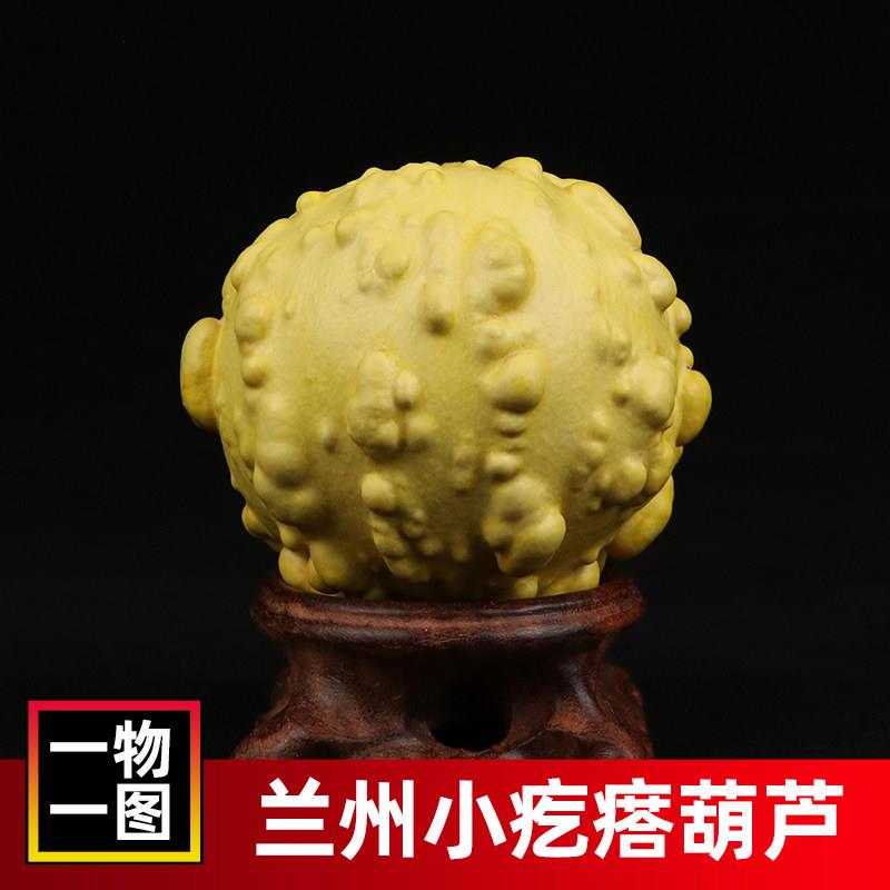 天然小葫芦彩疙瘩葫芦文玩手捻手把件奇形异型满疙瘩工艺礼品摆饰