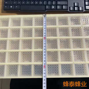 蜜蜂多功能塑料储王器 多王关王器蜂王存储器囚王笼45格储王器