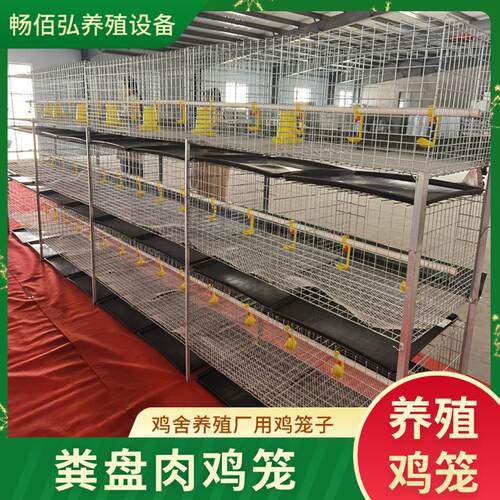 养鸡场立体肉鸡鸡笼H型框架笼鸡舍养鸡场镀锌工艺粪盆铁鸡笼
