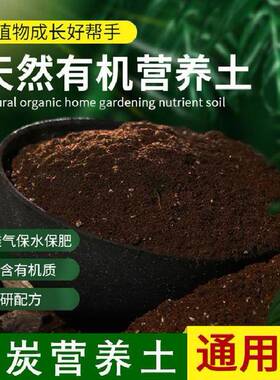 营养土通用型土壤有机种植土泥炭花土养花种花用种菜多肉育苗绿植
