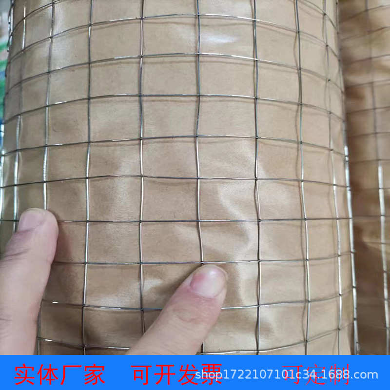 假山专用铁丝网镀锌电焊网建筑水泥防裂保温网电焊网格批发建筑防