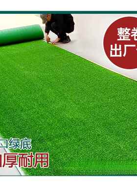 仿真草坪人造地毯假草皮垫屋楼顶户外人工绿色装饰幼儿园工地围挡