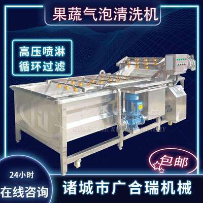 果蔬气泡清洗机 百香果毛豆清洗机 蔬菜水果清洗机高压喷淋清洗机