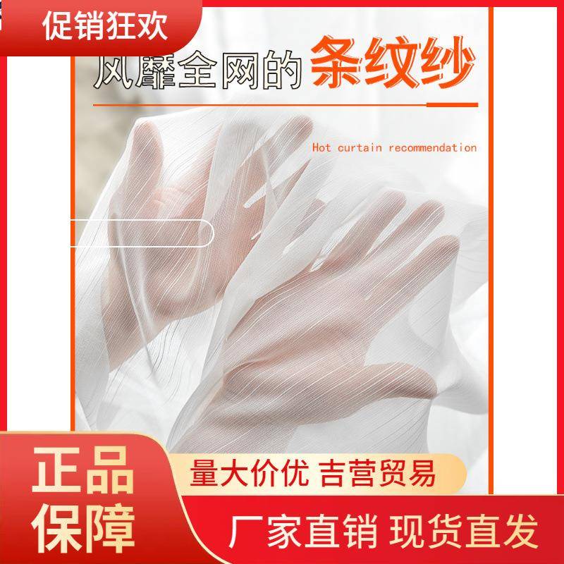 V45O窗帘纱帘窗纱现代简约轻奢飘窗阳台客厅卧室透光白色纱帘2023