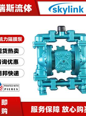 气动隔膜泵LS15AA-AA-T/N-TT-TT-00耐酸碱铝合金化工泵DN1