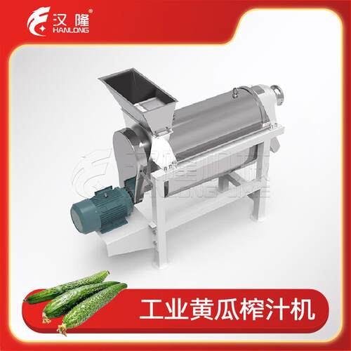 优惠全自动不锈钢小型黄瓜螺旋榨汁机工业果蔬压榨机厂家直销