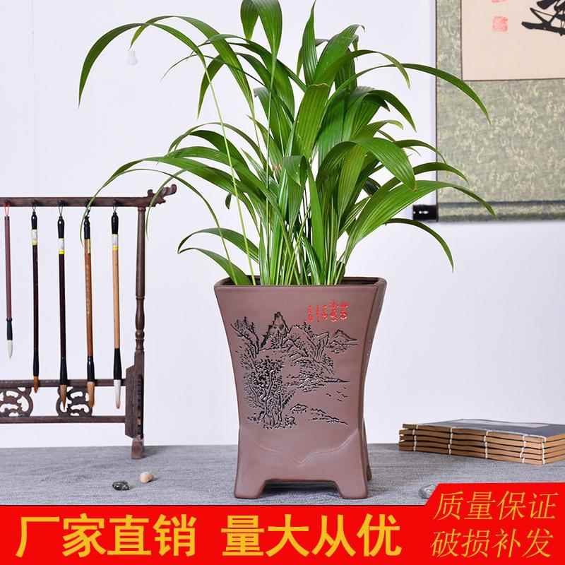 创意紫砂兰花盆 陶瓷吊兰家用客厅阳台办公室 简约君子兰专用花盆