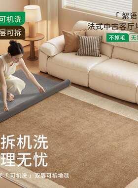 可拆地毯打中古风新款复古可拆卸机洗水易理隔kcx18122防音洗地垫