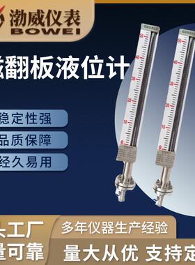 磁翻板液位计带远传4-20mA水位油位计304不锈钢材质侧装顶装