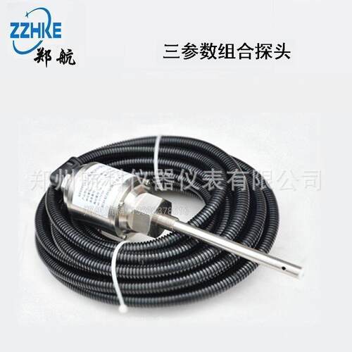 三参数组合探头KYZD-3000、三参数组合探头HK-8301B25
