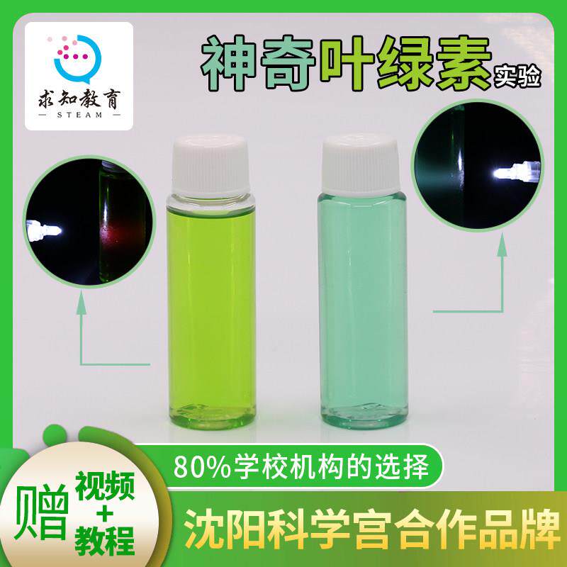 科学实验材料包儿童趣味实验玩具提取神奇叶绿素化学DIY手工