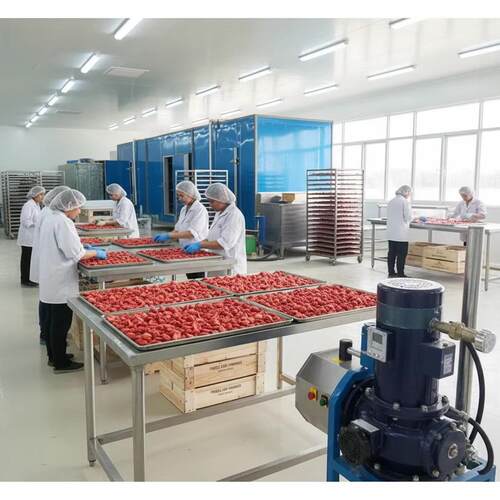 海鲜速冻机商用 水果蔬菜隧道式速冻设备 超低温肉类速冻机现货