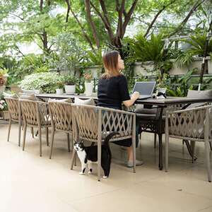 户外椅台阳椅休闲室外防水防晒庭桌院别墅花园餐饮外摆藤茶-几组