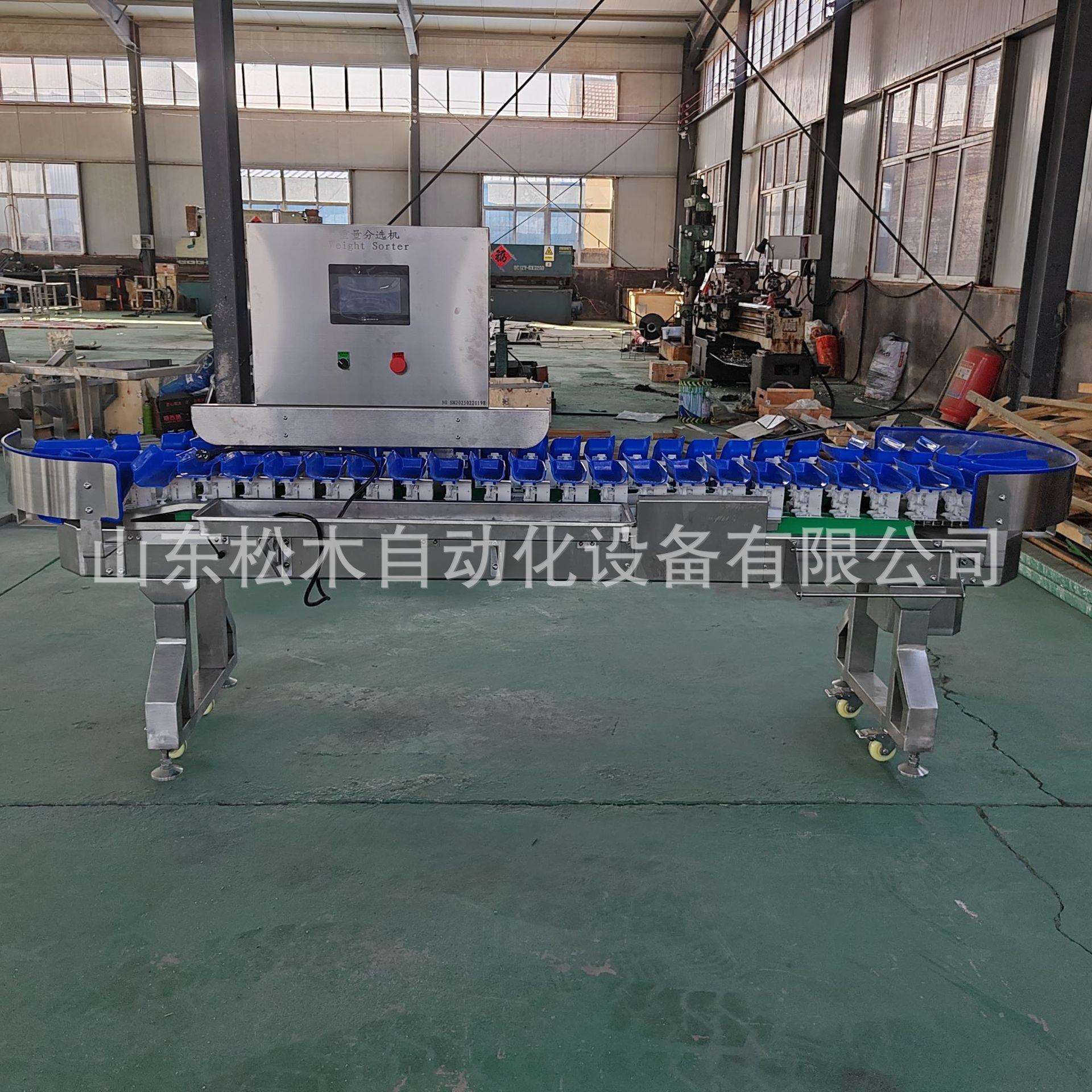 厂家直供袋装玉米分选机 农副产品分选流水线设备 价格优惠
