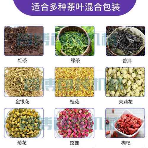 加工定制袋中合袋茶灌叶装机 组茶ZB100NWS包装机自 全动挂标茶叶