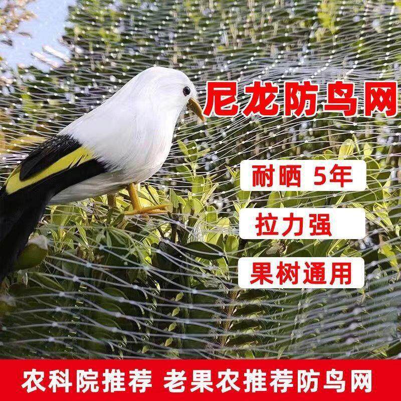 防鸟网尼龙正品大棚果树樱桃专用葡萄稻谷果园养殖鱼塘尼龙网天网