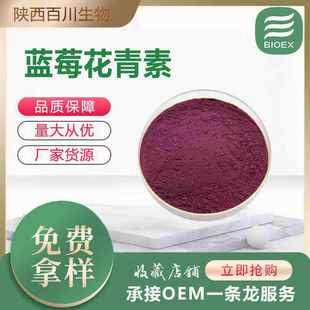 蓝莓花青素厂家供应欧洲越橘提取物蓝莓花色甙量大价优支持试样装
