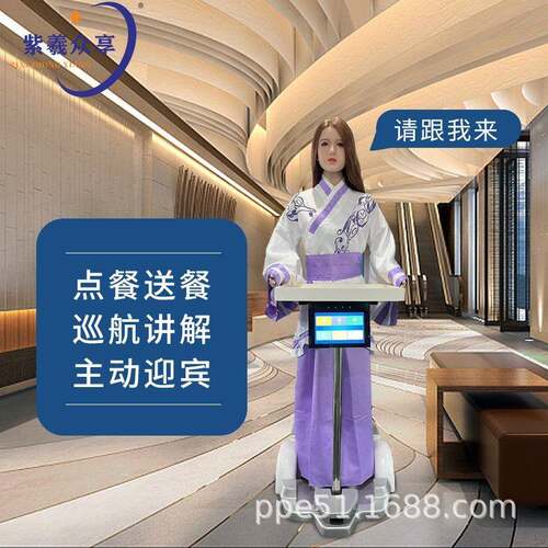 真智能人形迎宾机器人 酒店餐厅商场银行送餐点餐导览一体机