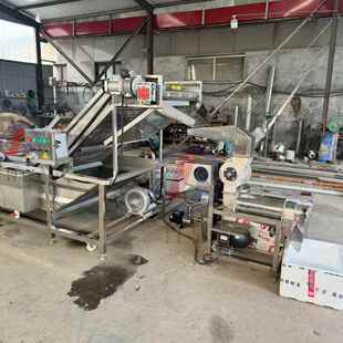 苹果螺旋破渣汁分离果汁机 果蔬破碎榨汁机 桑葚柠檬炸浆机立式