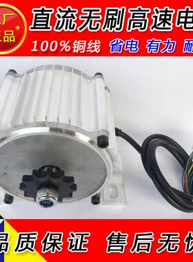 三轮车电机高速炼条电机直流无刷改装设备电机48V500W800W1000W