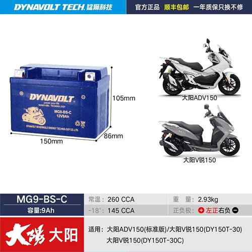 大阳机车电瓶ADV150V锐150载载VPZ125跑跑DY100T猛狮原厂高性能