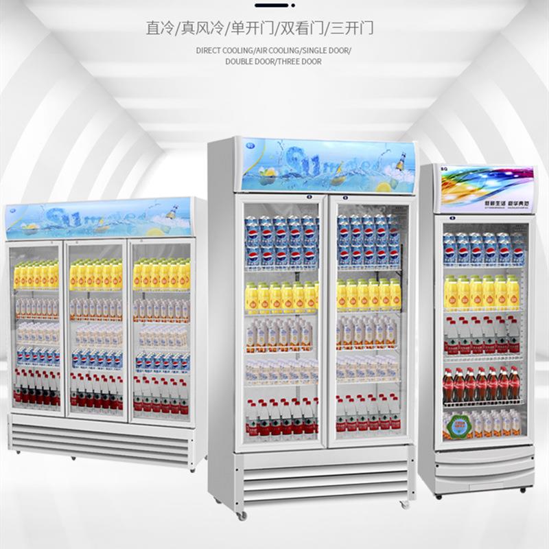 饮料展示柜啤酒冷藏柜商用便利店商超饭店单双门风冷无霜立式冰箱