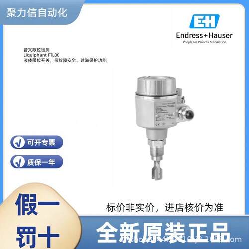 FTL31-AA4U3BAWSJ 恩德斯豪斯E+H 音叉液位开关 压力变送器 电极
