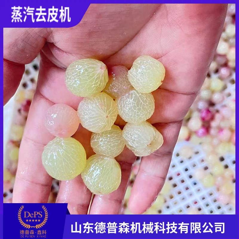 全自动预制菜预处理爆皮设备大型高温葡萄芋头柿子蒸汽脱皮设备