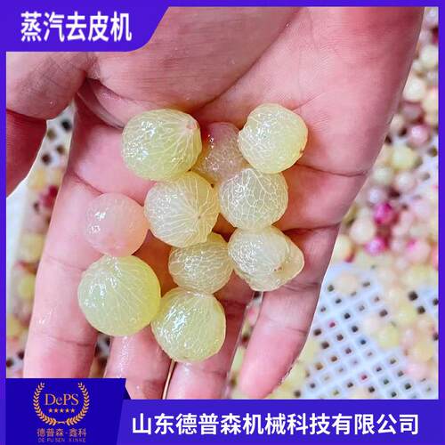 全自动预制菜预处理爆皮设备大型高温葡萄芋头柿子蒸汽脱皮设备