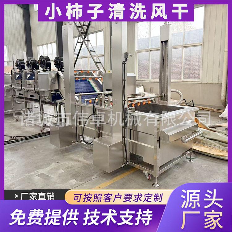 桃子清杏无花果气泡洗机 鲜清伟卓洗海清设备 大型商用果蔬气泡洗