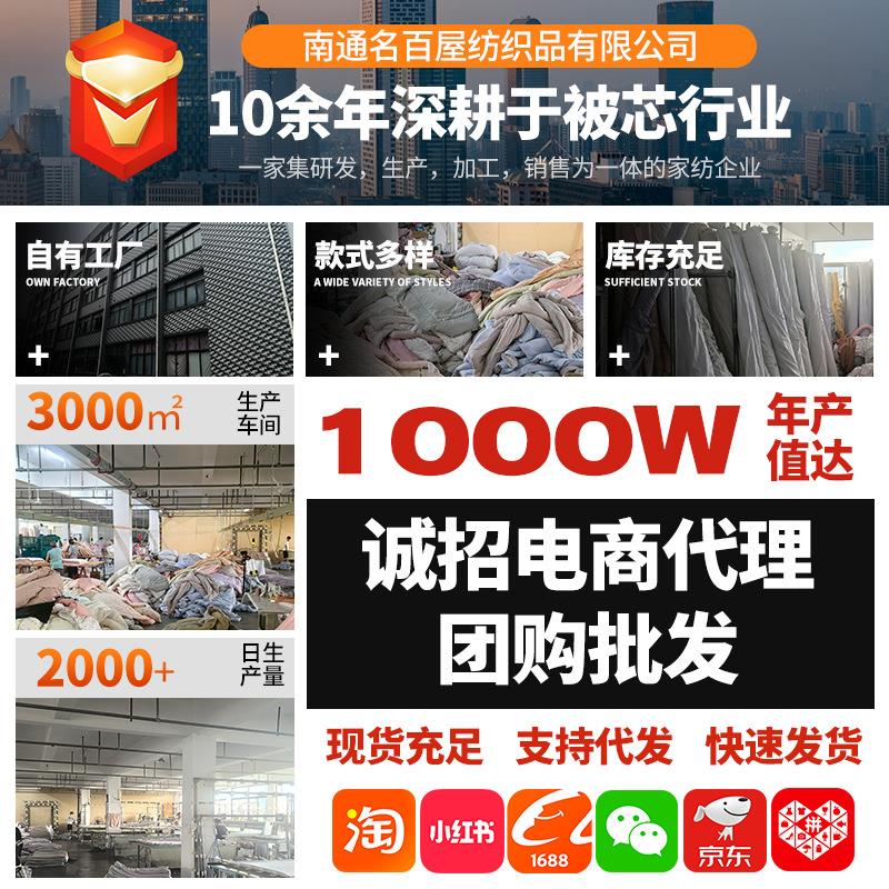 新款蕾丝贴布绣花被家用学生宿舍纯色小清新加厚冬被春秋被被芯