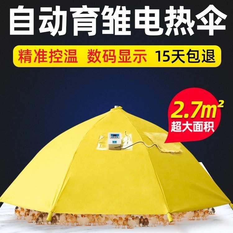小鸡育雏保温控温脱育雏设备伞厂家自动温设备养鸡伞保温箱器伞