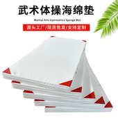 武术垫体操跆拳道垫武馆练功垫体育训练垫子仰卧起坐垫子海绵垫