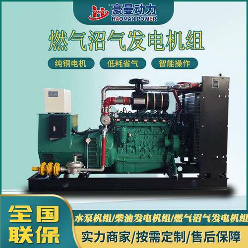 30kw沼气燃气发电机组50kw75KV100KW120kw150KW天燃气备用发电机