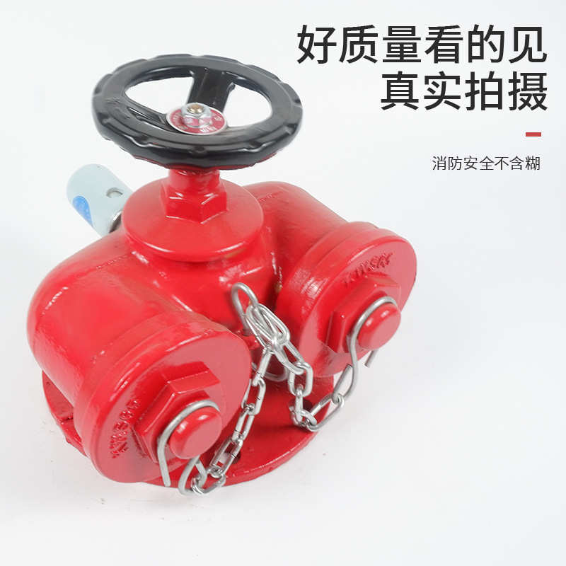 消防地上式多功能水泵接合器SQD100-2.5 多用式水泵接合器