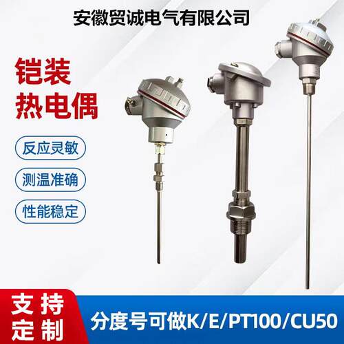贸诚仪表WRN-620 WRN2-630装配式热电偶 M33X2 0-800℃