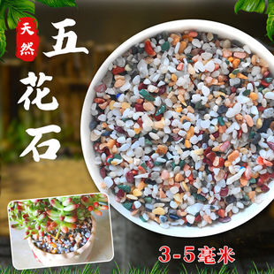多肉铺面石植物花盆里面放的小彩色石头白石子地面养花专用