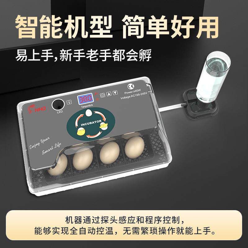 全自动家用智能小鸡孵化小型孵化器12枚鸡蛋孵蛋器鸽子鹌鹑孵化机