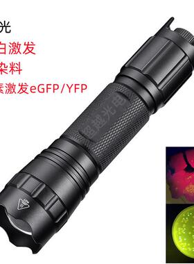 可调光 激发光488nm eGFP手电 GFP激发绿光激发荧光实验测试光