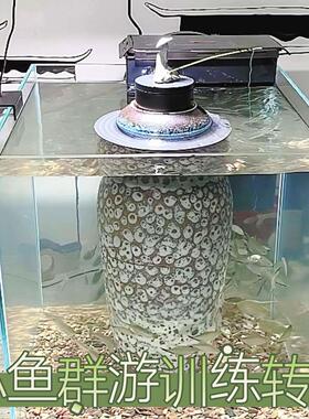 电动转盘底座展示台摆件人工饲养群游训练转盘架旋转圆盘展示台