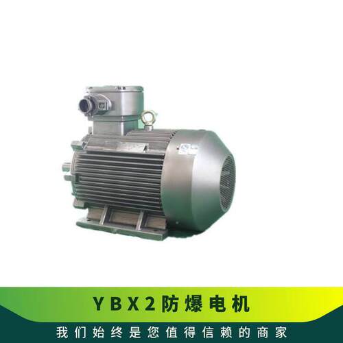 鸿泰压隔爆型变频电机 YBX2-5001-6 560KW 6KV 防尘防水性能好