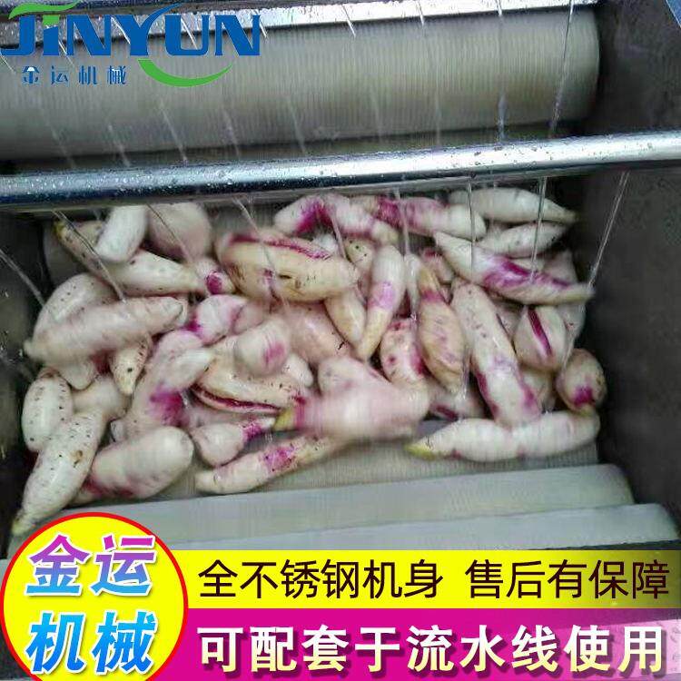 红薯山药去皮机 芋头花生大姜去泥设备 全自动毛辊清洗机