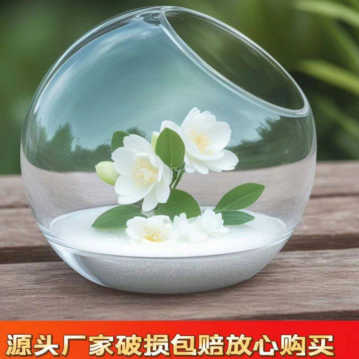 圆形斜口玻璃多肉植物微景观生态水培花家居摆件微型绿植