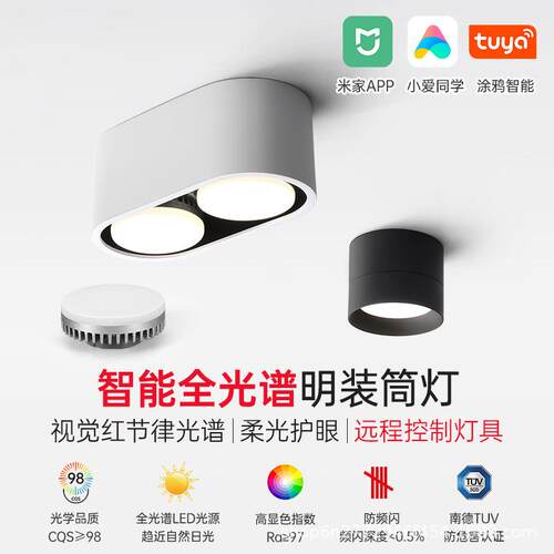 筒灯双头斗胆灯led盒子灯gx53圆形过道阳台客厅无主灯调光高显色