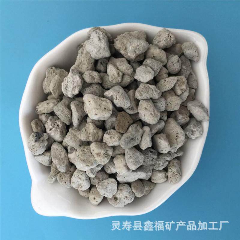 新款直销供应微景观轻石多孔浮石污水处理用白色浮石水族造景轻石