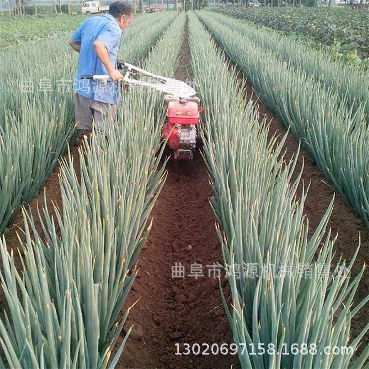 家用小型耕田除草机 汽油手扶式开沟培土机 生姜大葱培土机