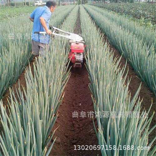 小型大葱生姜起垄机 草莓种植起垄机 186柴油电启动开沟培土机