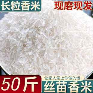 50斤长粒香米新米晚稻丝苗米煲仔饭蛋炒饭猫牙米煮饭大米